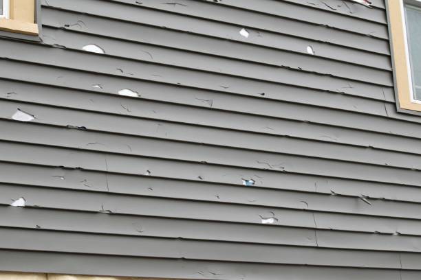 Best Siding for New Construction  in Jonesborough, TN